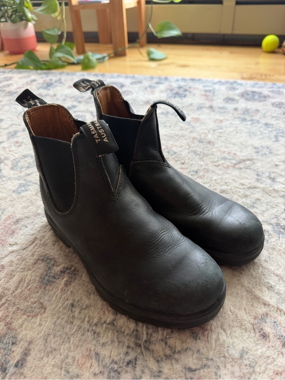 Blundstone boots